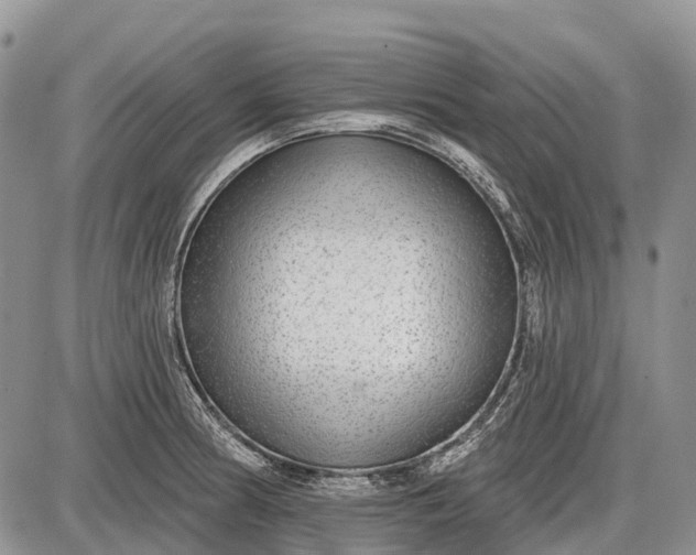 X0000085001186200703191042