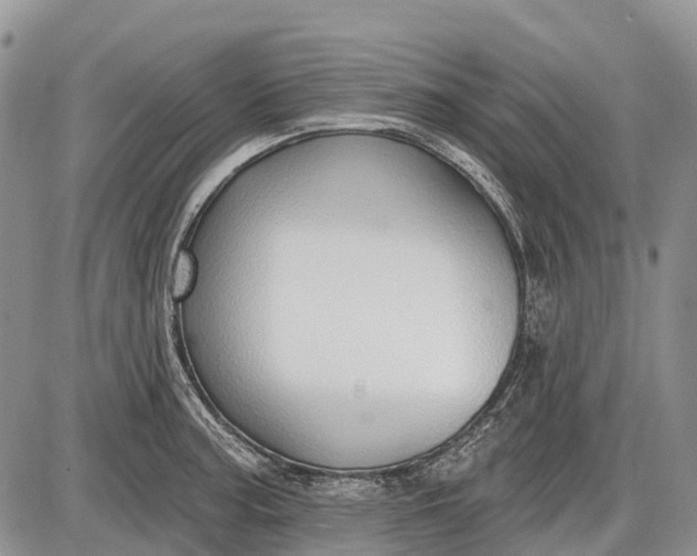 X0000085001187200703191042