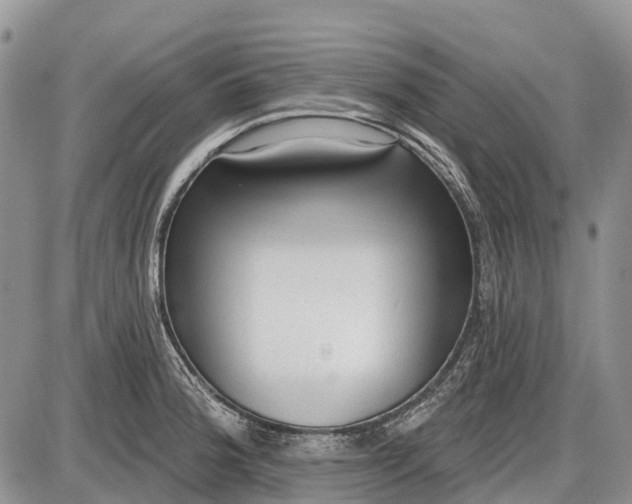 X0000085001188200703191042