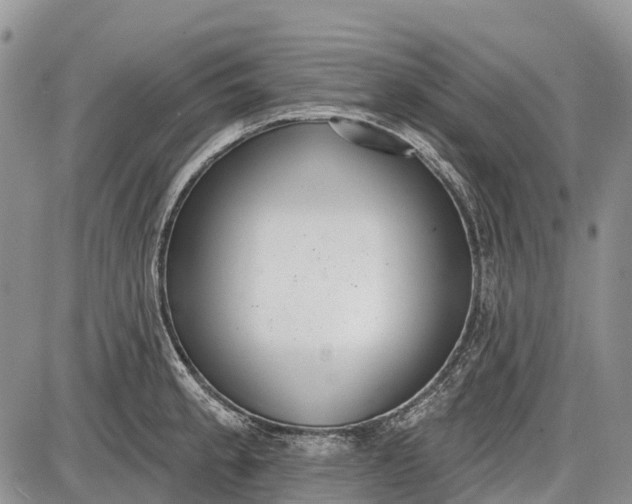 X0000085001189200703191042