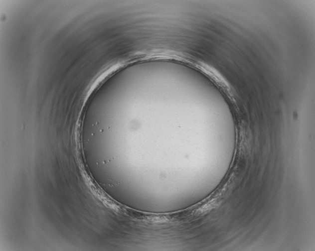 X0000085001190200703191042