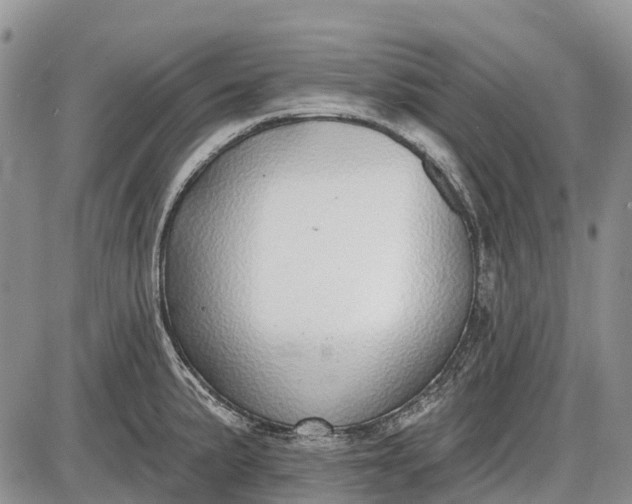 X0000085001191200703191042