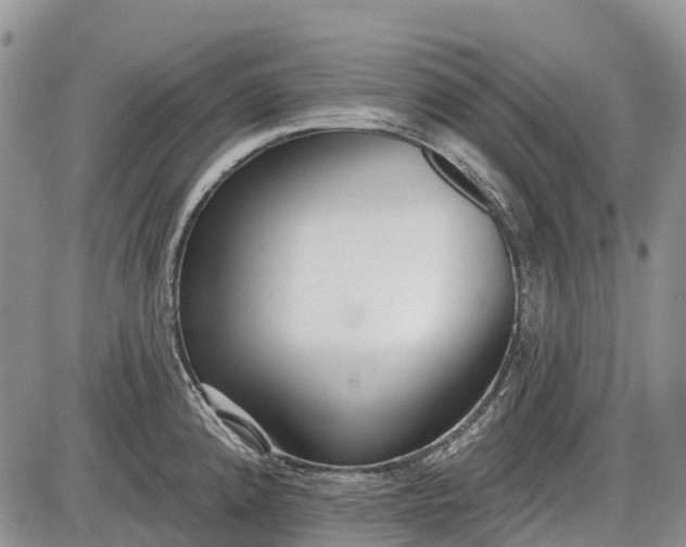 X0000085001192200703191042