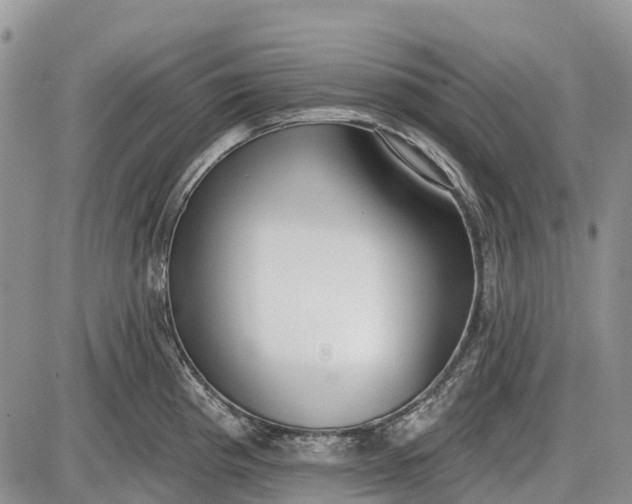 X0000085001193200703191042