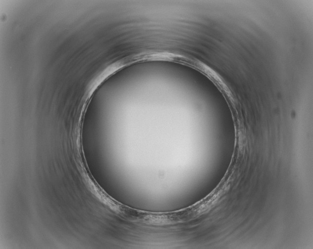 X0000085001194200703191042