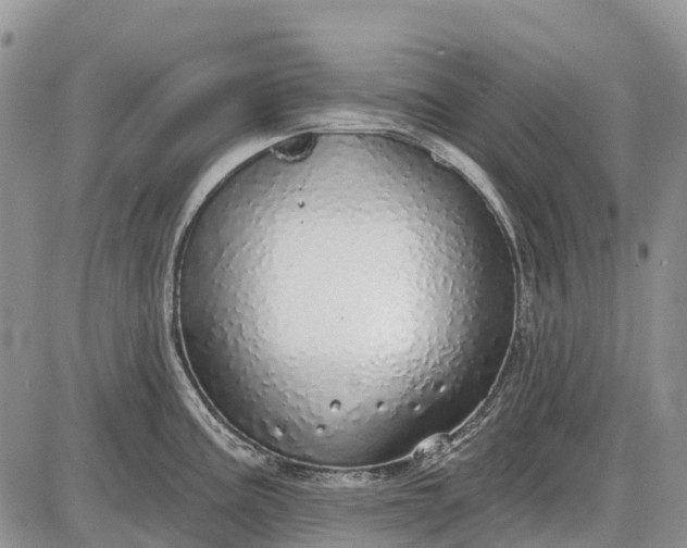 X0000085001195200703191042