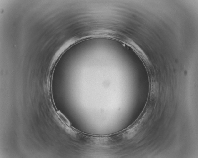 X0000085001196200703191042