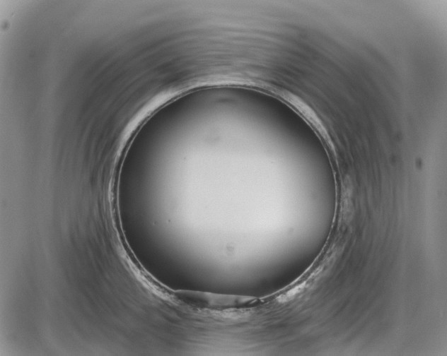 X0000085001197200703191042