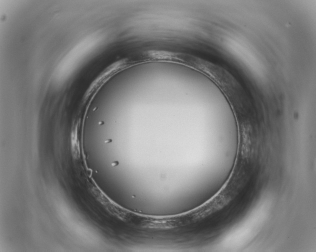 X0000085001198200703191042