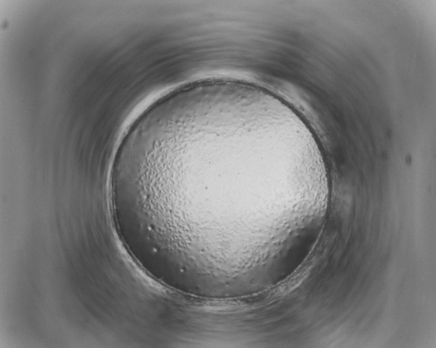 X0000085001199200703191042