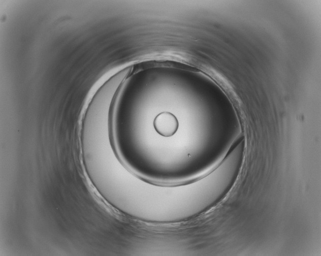 X0000085001200200703191042