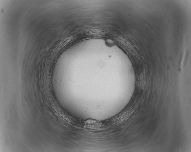 X0000085001201200703191041