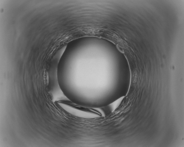 X0000085001202200703191041