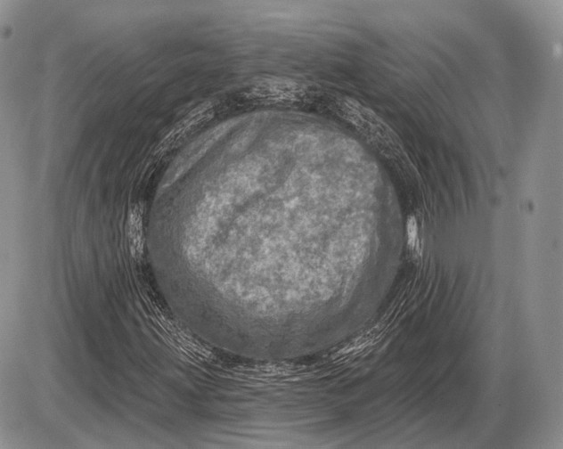 X0000085001203200703191041