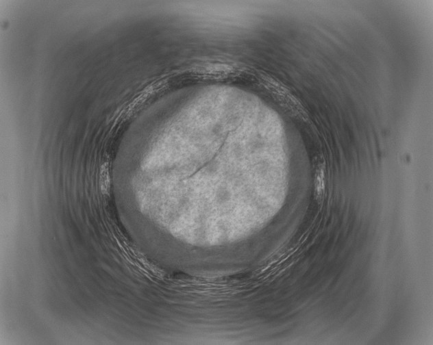 X0000085001204200703191041