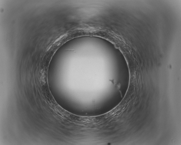 X0000085001205200703191041