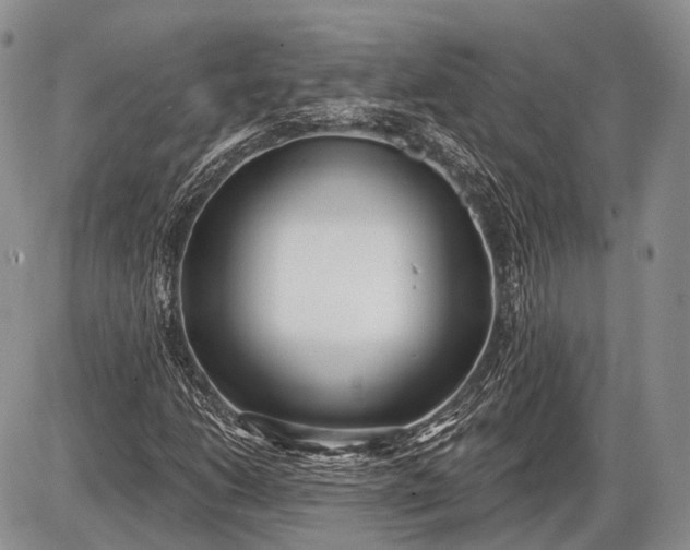 X0000085001206200703191041