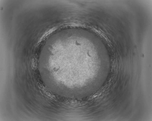 X0000085001207200703191041