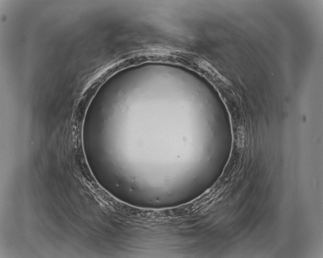 X0000085001208200703191041