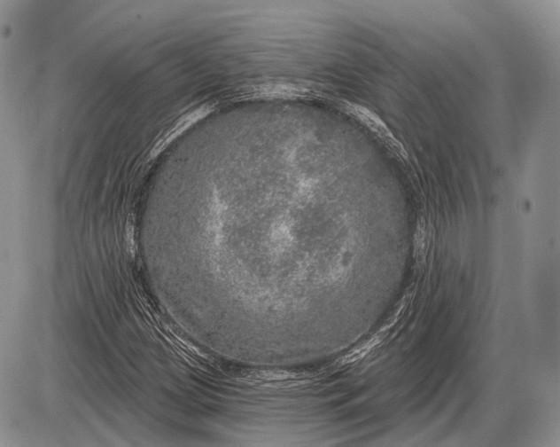 X0000085001209200703191041