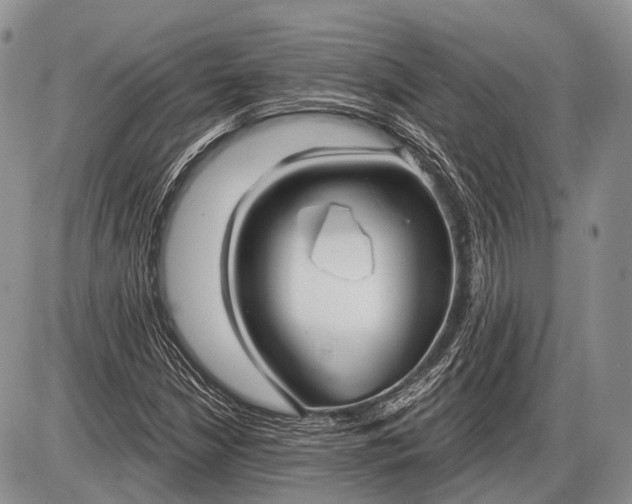 X0000085001210200703191041