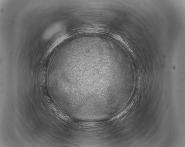 X0000085001211200703191041