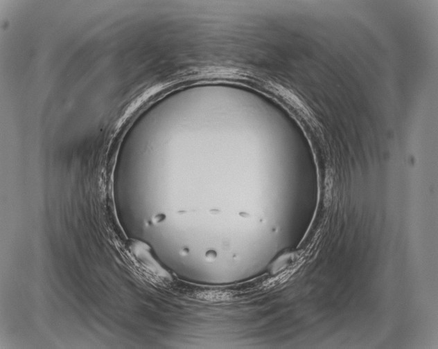 X0000085001212200703191041