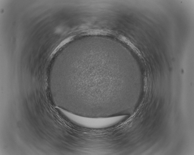 X0000085001213200703191041