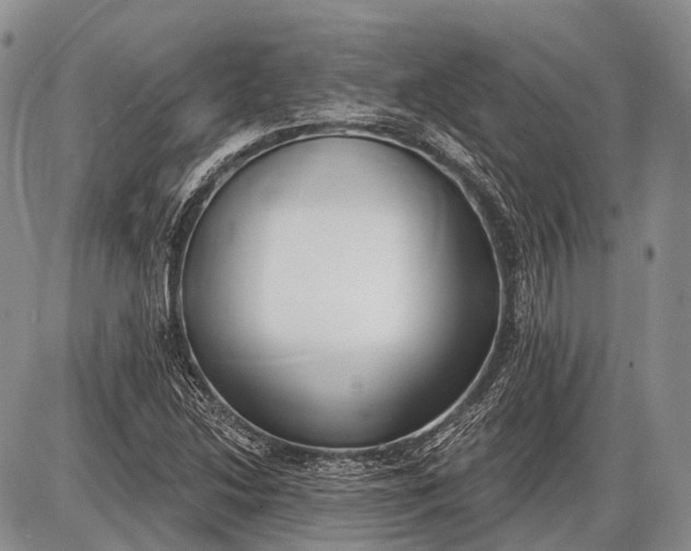 X0000085001214200703191041