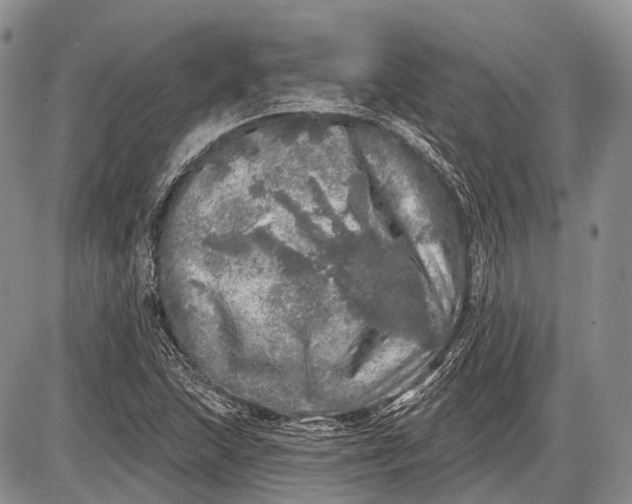 X0000085001215200703191041