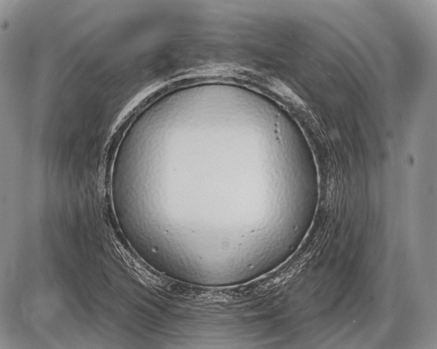 X0000085001216200703191041