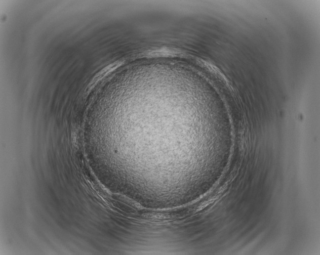 X0000085001217200703191041