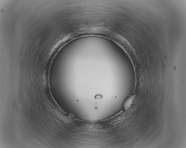 X0000085001218200703191041