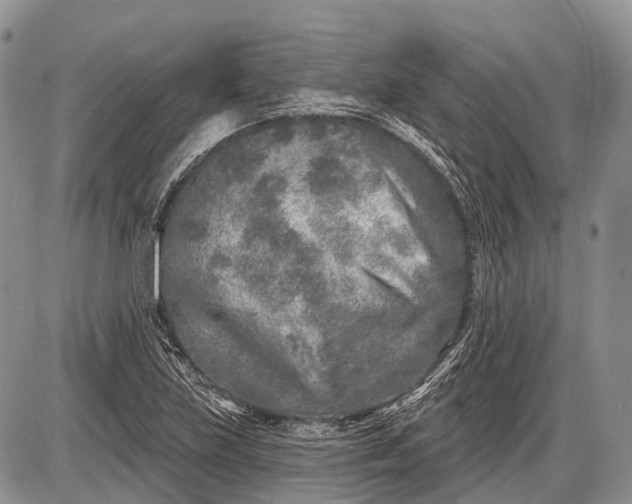 X0000085001219200703191041