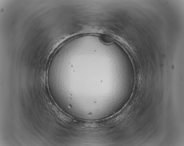 X0000085001220200703191041