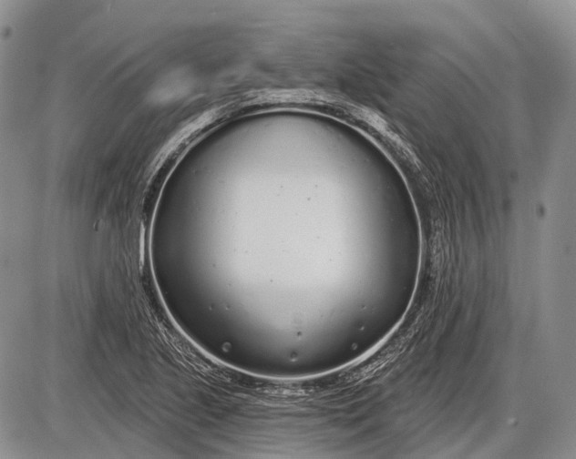 X0000085001221200703191041