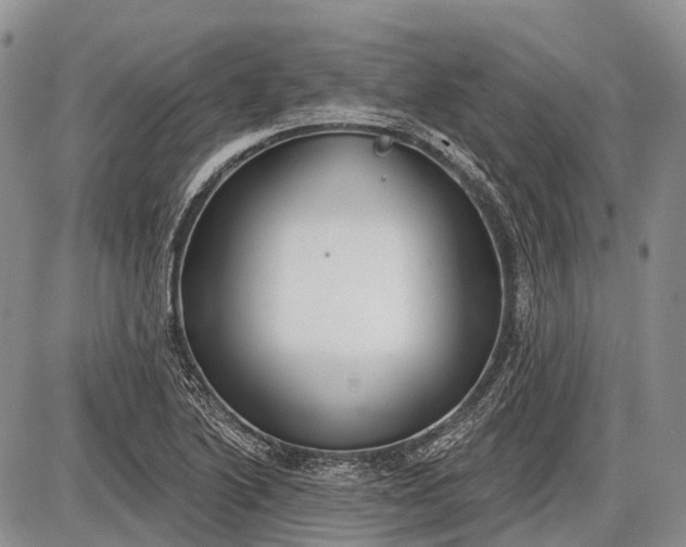 X0000085001222200703191041