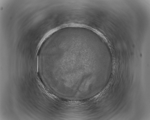 X0000085001223200703191041