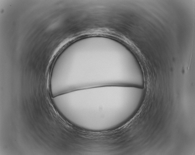 X0000085001224200703191041