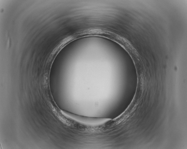 X0000085001225200703191041