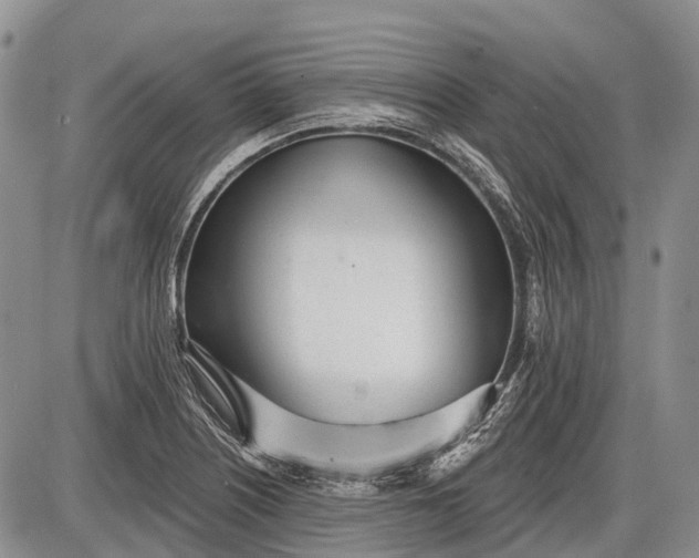 X0000085001226200703191041