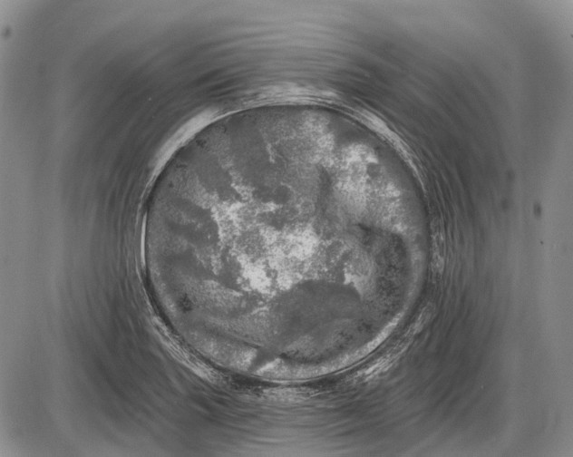 X0000085001227200703191041