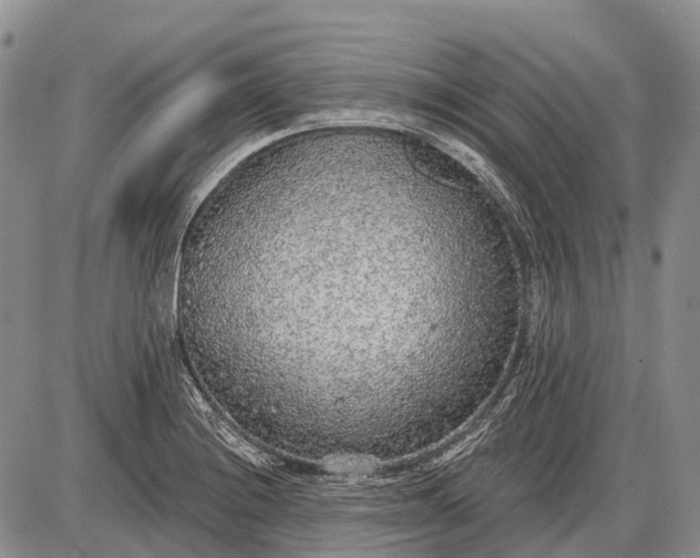 X0000085001228200703191041