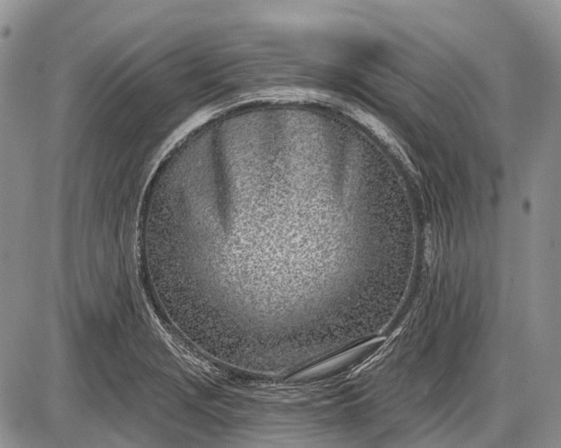 X0000085001229200703191041