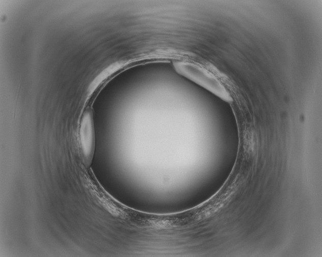 X0000085001230200703191041