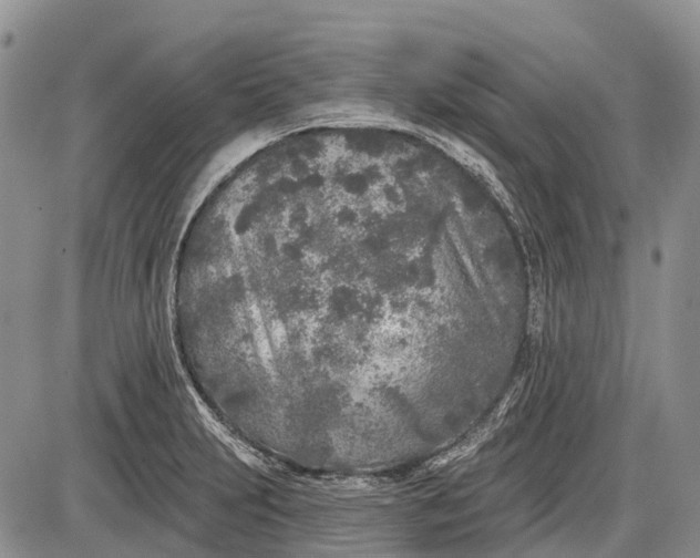 X0000085001231200703191041