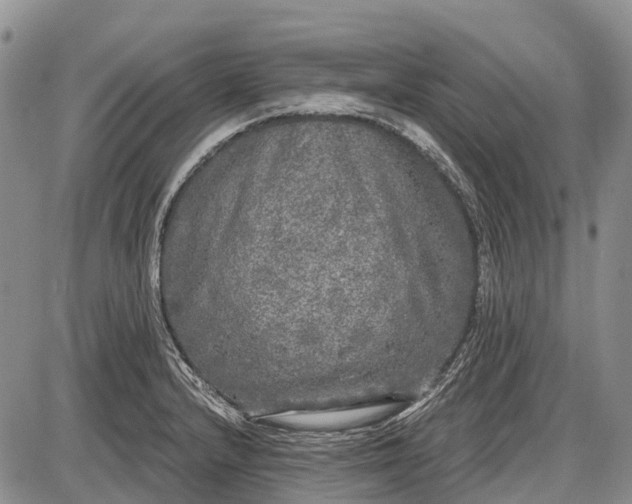 X0000085001232200703191041