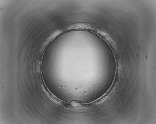 X0000085001233200703191041