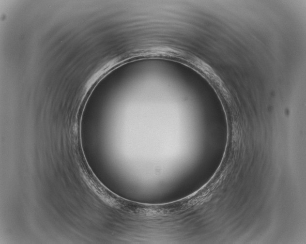 X0000085001234200703191041