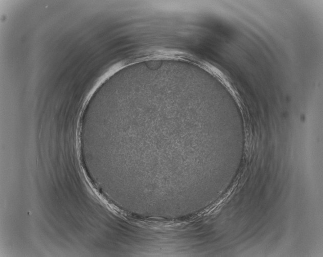 X0000085001235200703191041